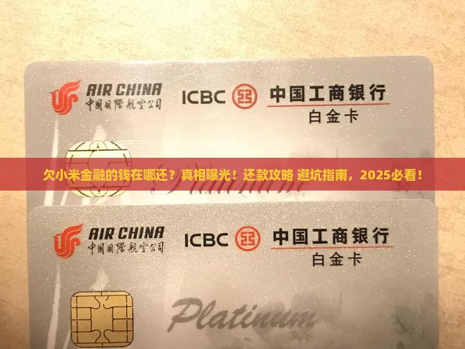 欠小米金融的钱在哪里还