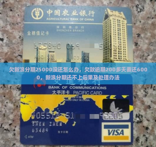 欠新浪分期25000没还怎么办
