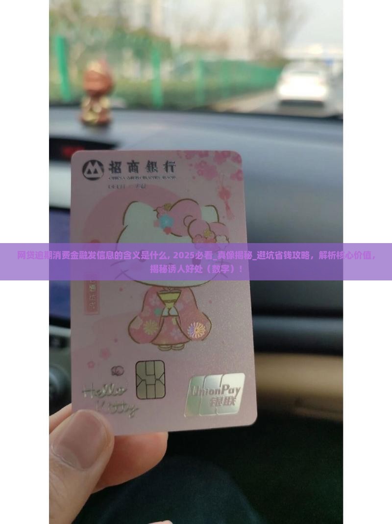 网贷逾期消费金融发信息的含义是什么
