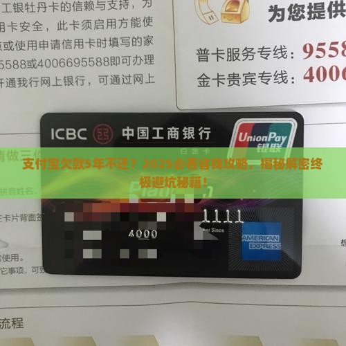支付宝逾期欠款5年怎么办