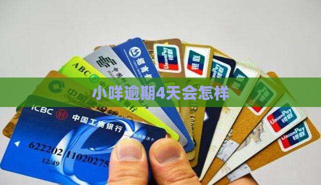 羊小咪享花卡逾期4天会影响信用吗
