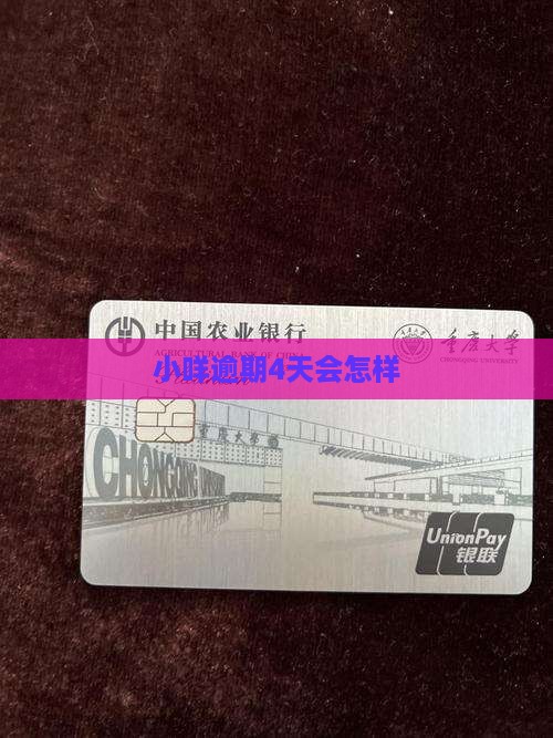 羊小咪享花卡逾期4天会影响信用吗