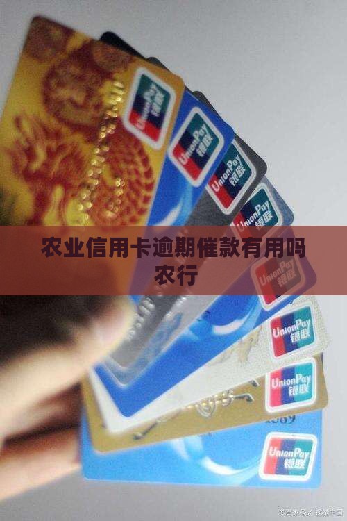 农业信用卡逾期催款有用吗