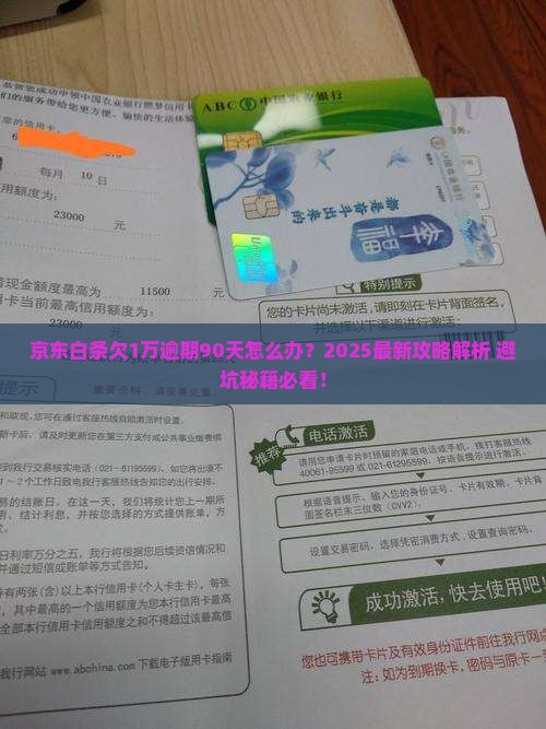 京东白条欠1万逾期90月 京东白条欠1万逾期90月