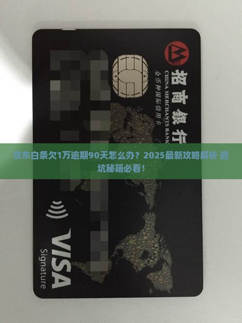 京东白条欠1万逾期90月 京东白条欠1万逾期90月