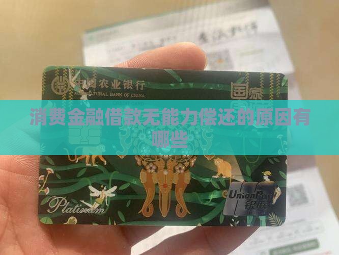 消费金融借款无能力偿还的原因有哪些