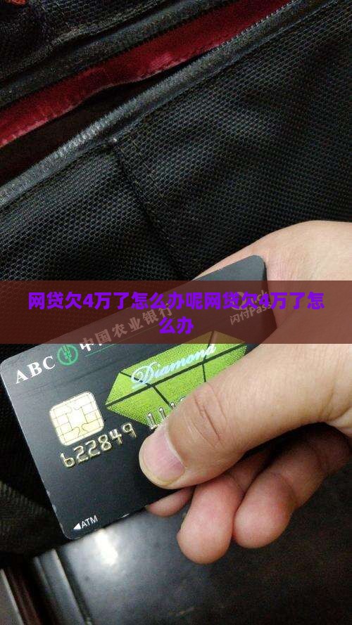 网贷欠4万了怎么办