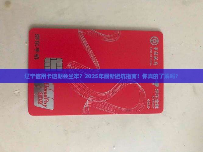 辽宁信用卡逾期判刑多久