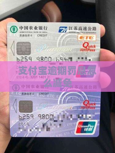 支付宝罚息如何减免
