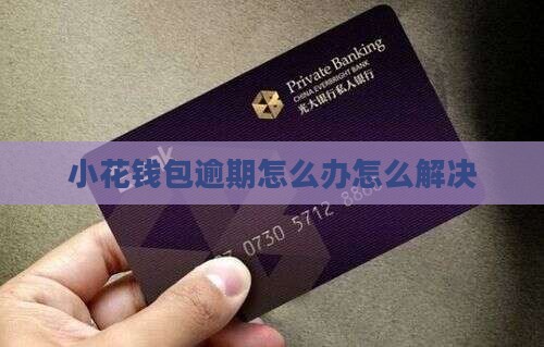 小花钱包没有偿还能力怎么办