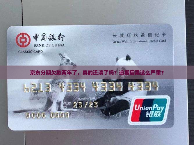 京东白条分期欠款两年了