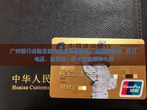 广州银行说我没能力偿还要起诉我 广州银行说我没能力偿还要起诉我