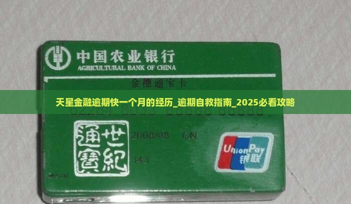 天星金融逾期快一个月的经历