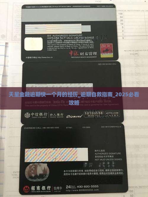 天星金融逾期快一个月的经历
