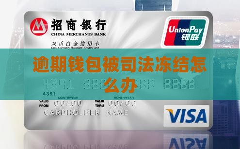 逾期微信钱包被司法冻结怎么办