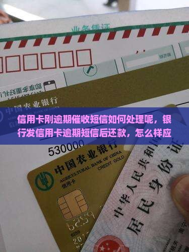 信用卡刚逾期催收短信如何处理