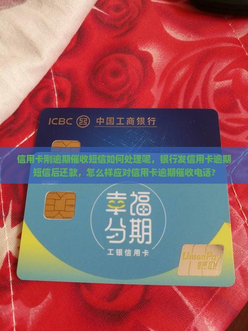 信用卡刚逾期催收短信如何处理