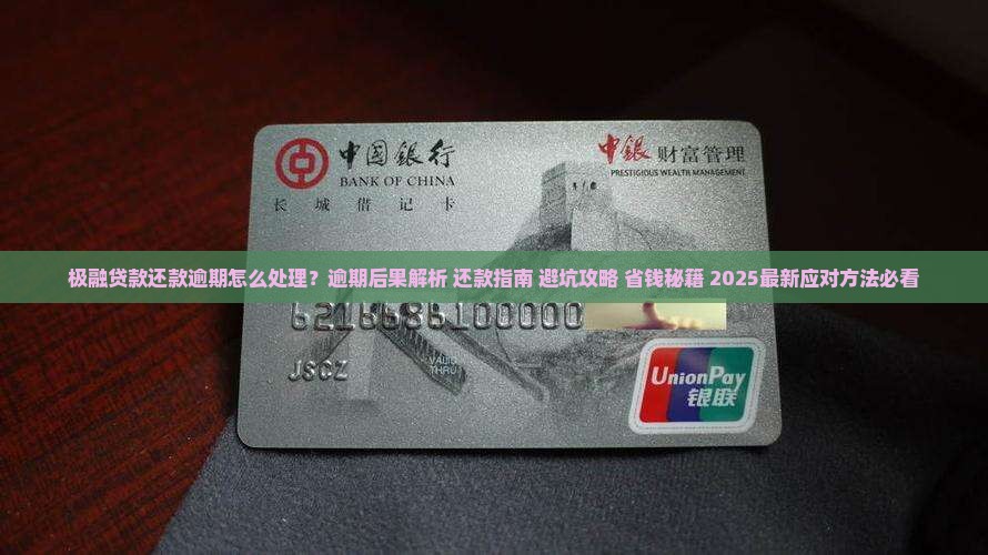 极融贷款还款逾期处理方法