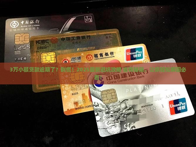 小额贷款3万逾期怎么办