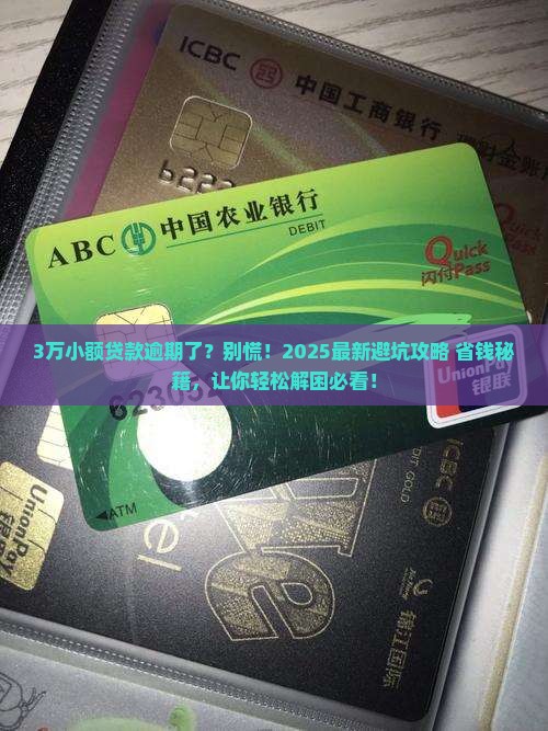 小额贷款3万逾期怎么办