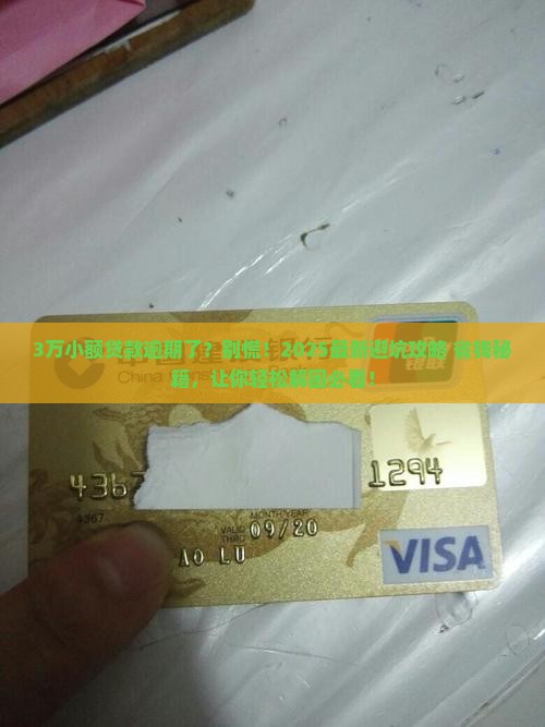 小额贷款3万逾期怎么办
