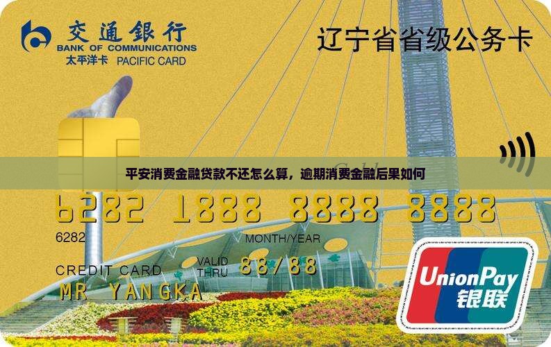 平安消费金融贷款不还会怎样