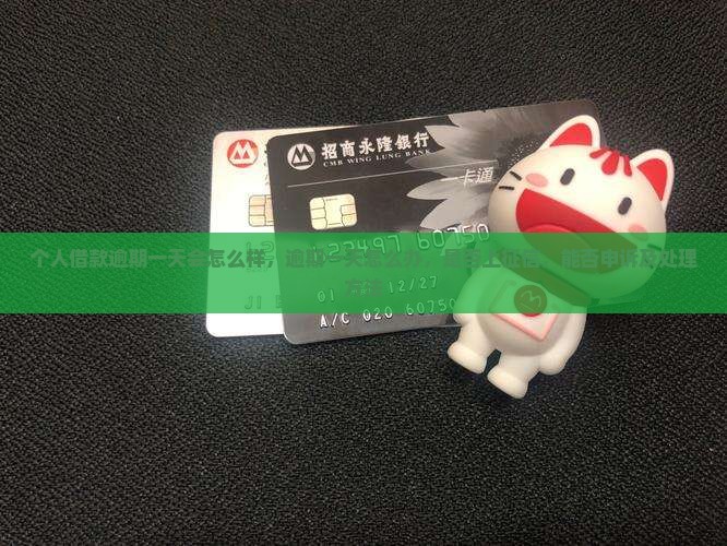 个人借款逾期一天会怎么样