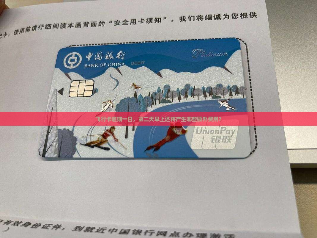 飞行卡逾期一日，第二天早上还将产生哪些额外费用？
