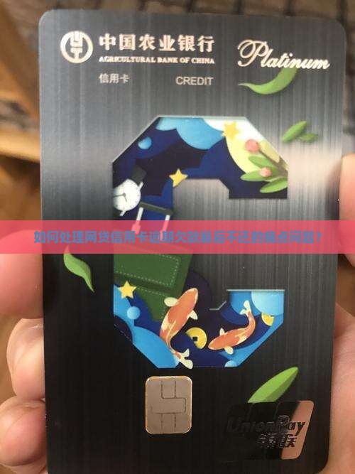 如何处理网贷信用卡逾期欠款最后不还的痛点问题？