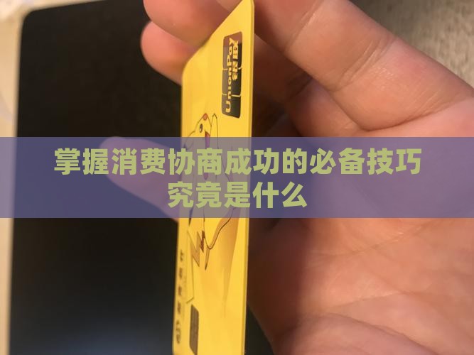 掌握消费协商成功的必备技巧究竟是什么