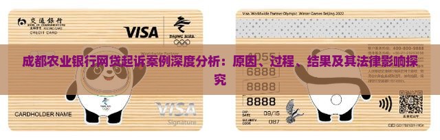 成都农业银行网贷起诉案例深度分析：原因、过程、结果及其法律影响探究
