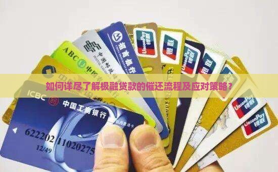 如何详尽了解极融贷款的催还流程及应对策略？