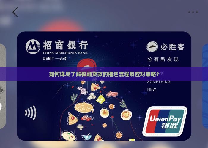 如何详尽了解极融贷款的催还流程及应对策略？