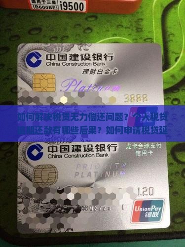 如何解决税贷无力偿还问题？个人税贷逾期还款有哪些后果？如何申请税贷延期还款或减免利息？