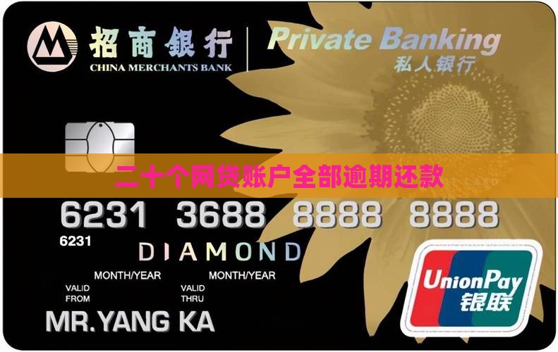 二十个网贷账户全部逾期还款