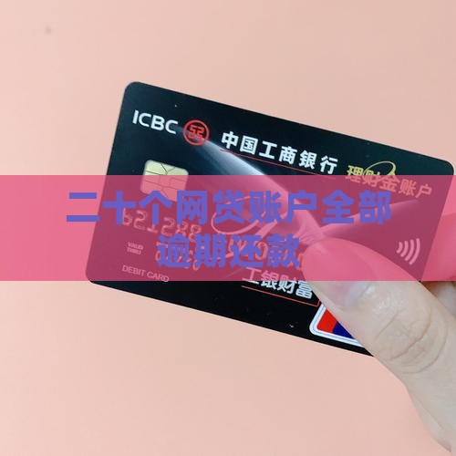 二十个网贷账户全部逾期还款