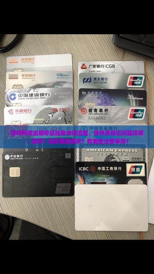 宿州网贷逾期停息挂账申请流程、条件及常见问题详解：如何？满足哪些要求？有哪些注意事项？