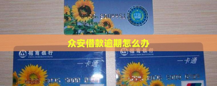 众安借款逾期怎么办