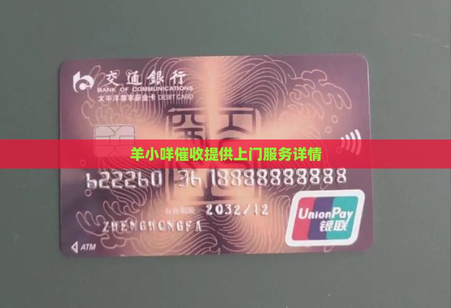 羊小咩催收提供上门服务详情