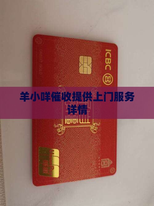 羊小咩催收提供上门服务详情