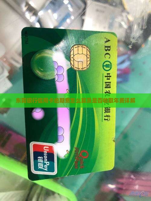 东莞银行信用卡逾期费怎么算及是否收取年费详解