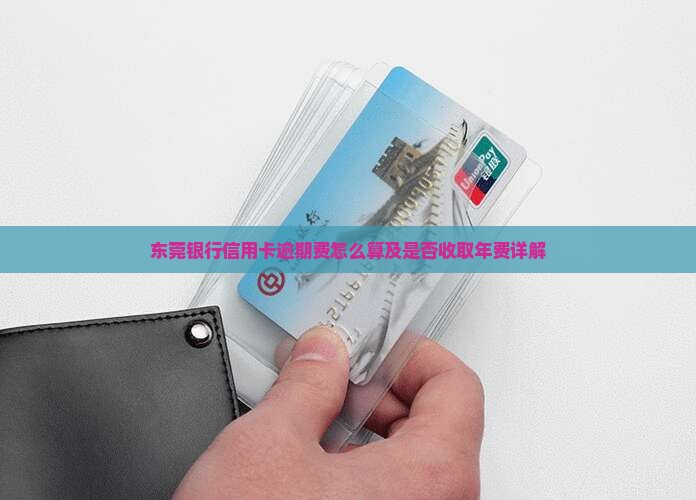 东莞银行信用卡逾期费怎么算及是否收取年费详解