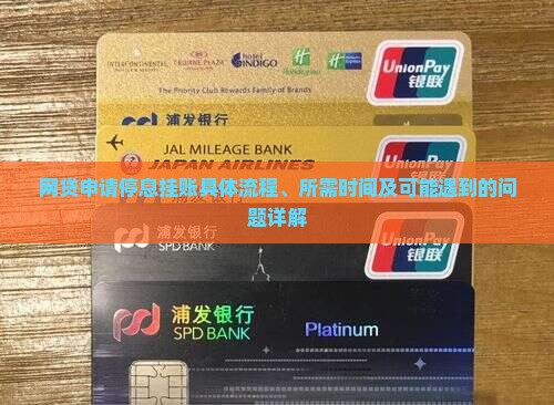 网贷申请停息挂账具体流程、所需时间及可能遇到的问题详解