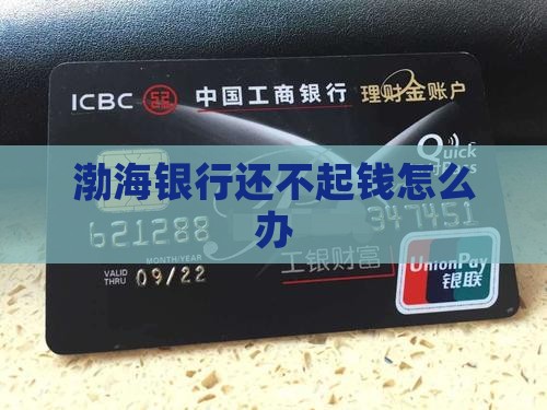 渤海银行还不起钱怎么办