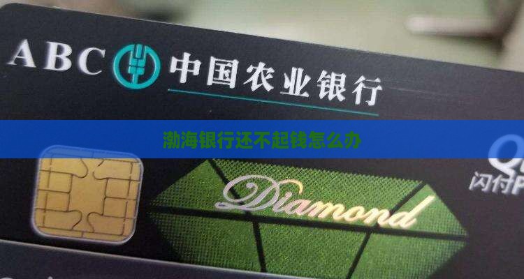 渤海银行还不起钱怎么办