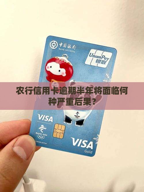 农行信用卡逾期半年将面临何种严重后果？