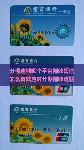 分期逾期哪个平台催收短信怎么有效应对分期催收难题