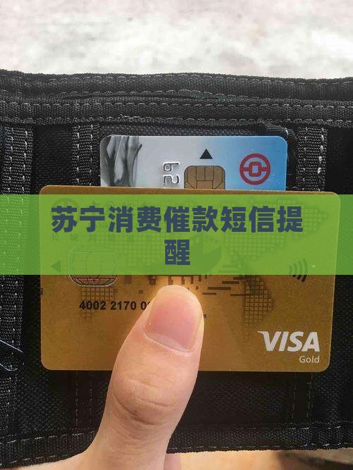 苏宁消费催款短信提醒