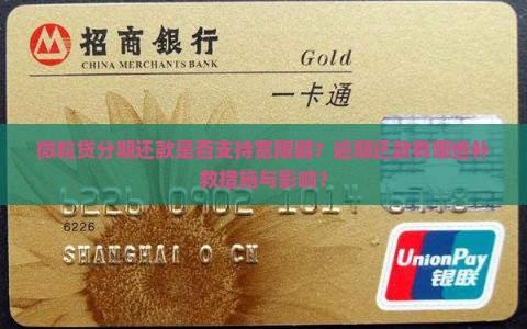 微粒贷分期还款是否支持宽限期？逾期还款有哪些补救措施与影响？