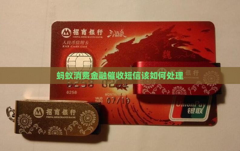 蚂蚁消费金融催收短信该如何处理